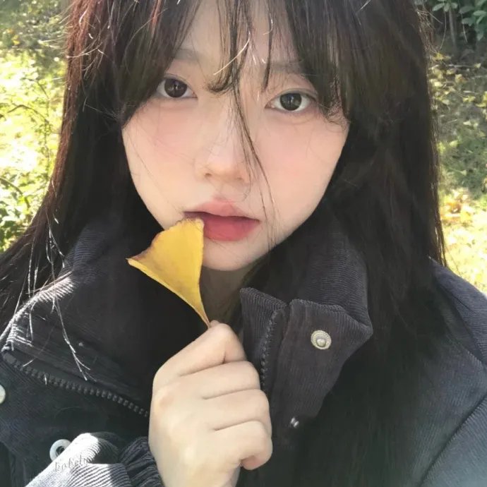 星际精灵